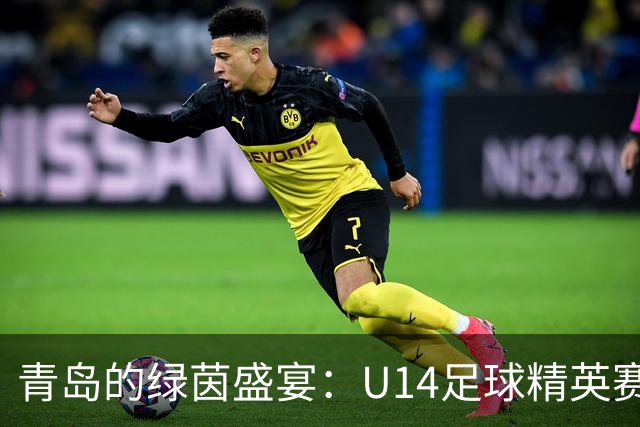 青岛的绿茵盛宴：U14足球精英赛圆满落幕